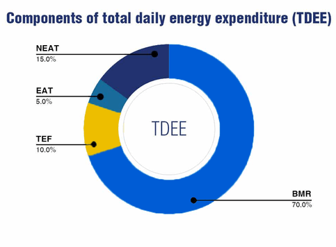 TDEE Calculator 🔥